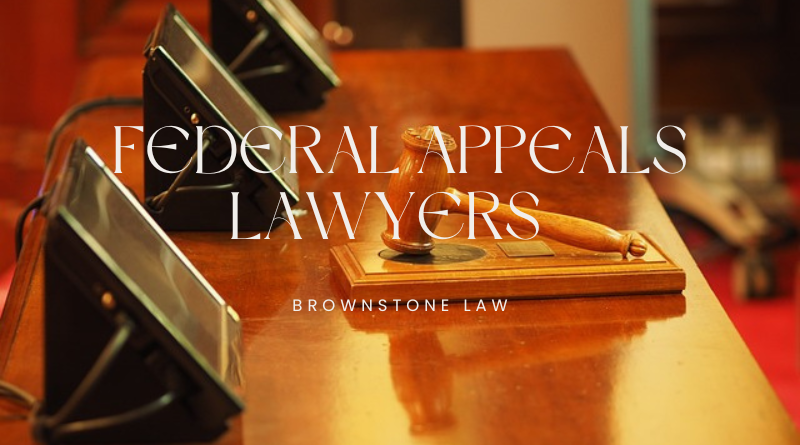 Why Hiring an Appellate Lawyer is Crucial for Criminal Appeals